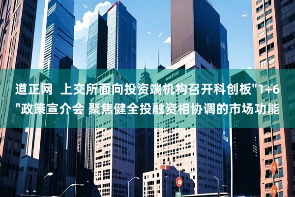 道正网  上交所面向投资端机构召开科创板&#34;1+6&#34;政策宣介会 聚焦健全投融资相协调的市场功能