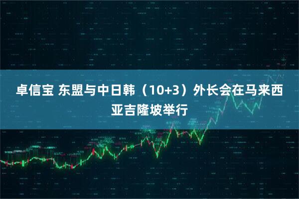 卓信宝 东盟与中日韩（10+3）外长会在马来西亚吉隆坡举行